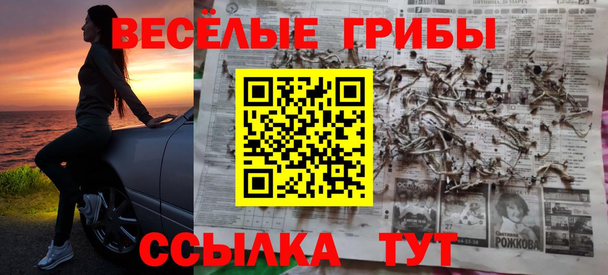 Псилоцибиновые грибы Cubensis Краснознаменск