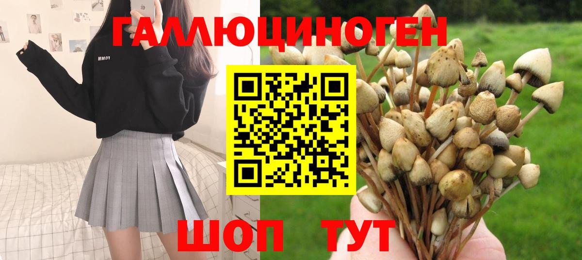 Галлюциногенные грибы Psilocybine cubensis  Вход с VPN  Краснознаменск  Псилоцибиновые грибы ЛСД 